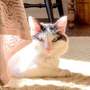 Meet your Posher, Amy